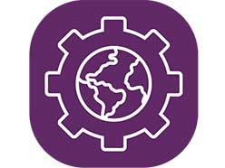 Multiple quote options